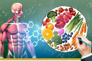 Why Does Diet Impact Testosterone Levels?